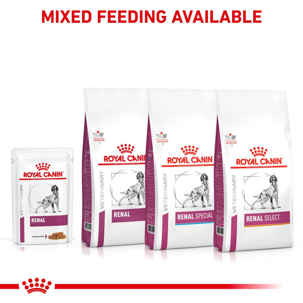 Royal canin best sale renal feeding guide