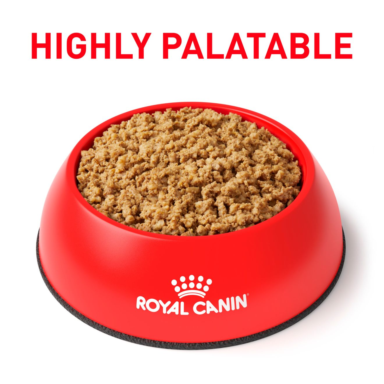 Royal canin renal dog food clearance reviews