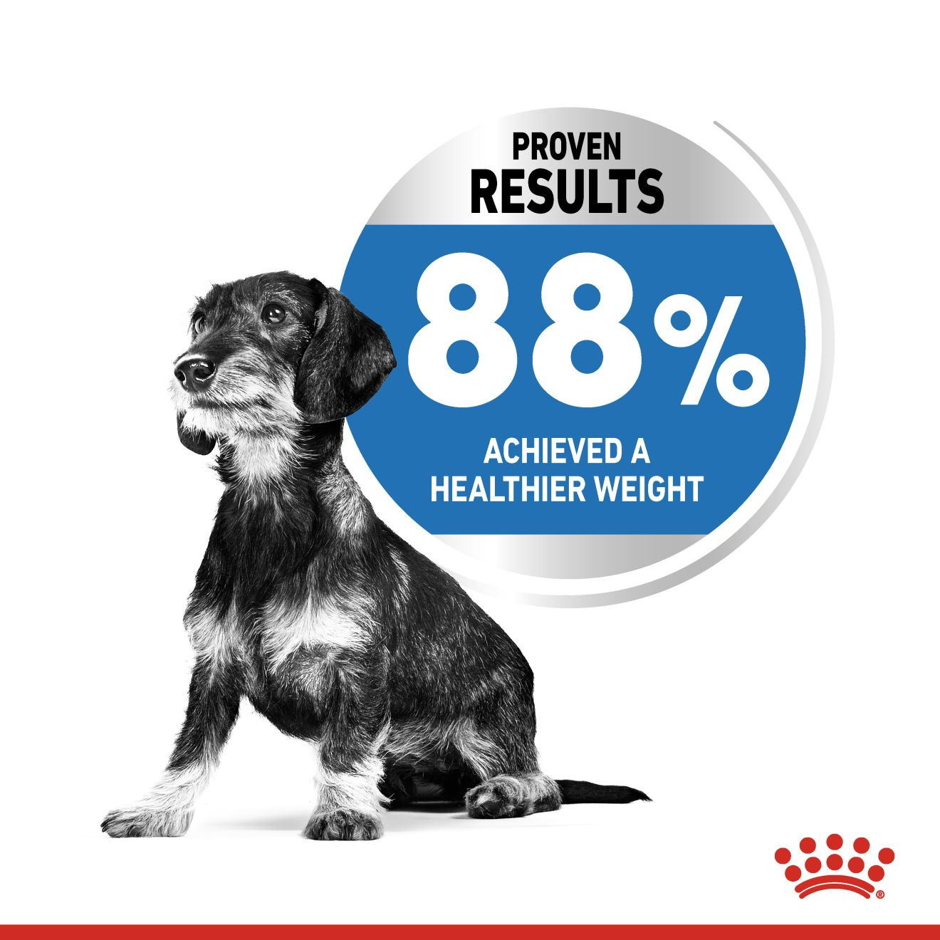 her fugtighed Whitney Mini Light Weight Care dry | Royal Canin