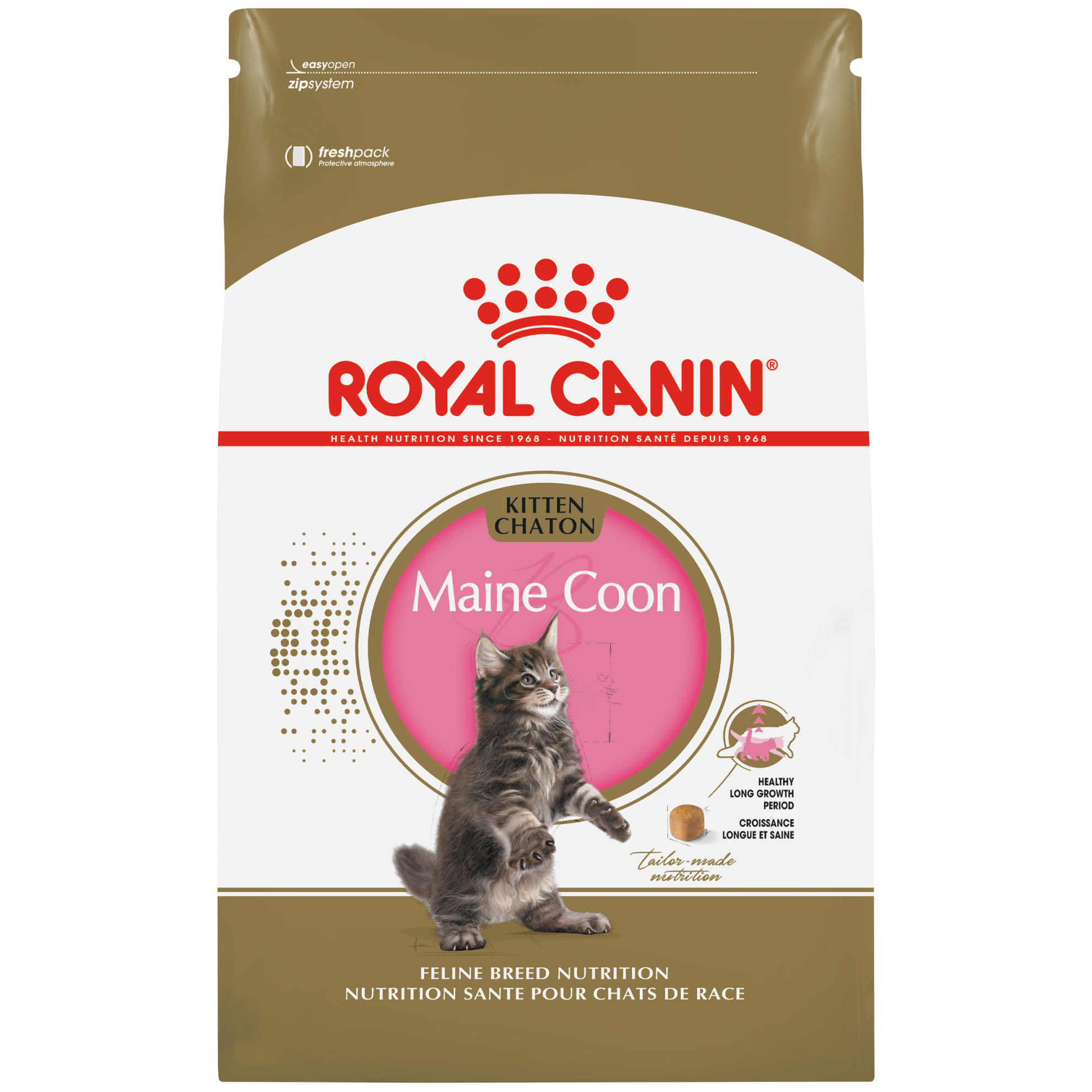 Maine Coon Kitten Dry Cat Food