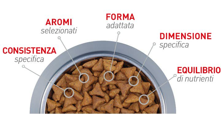 Diagram of kibble demonstrating texture, aroma, shape, size, flavours