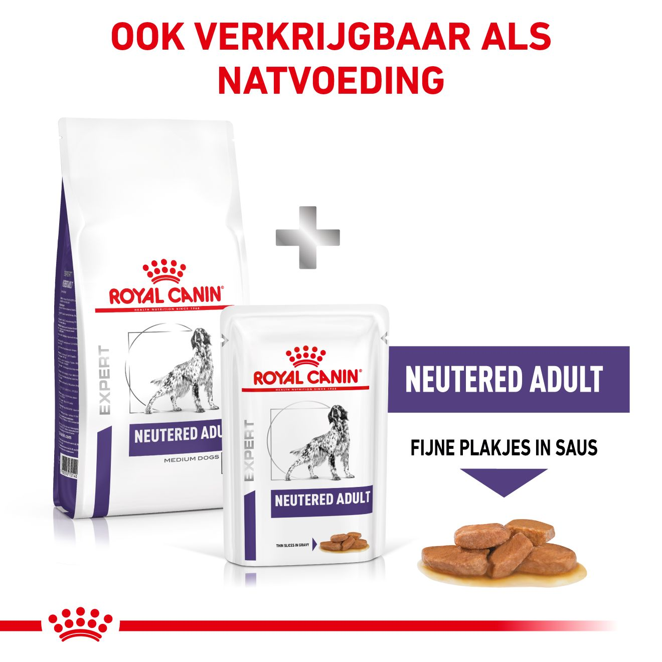 Neutered Adult Medium Dogs
