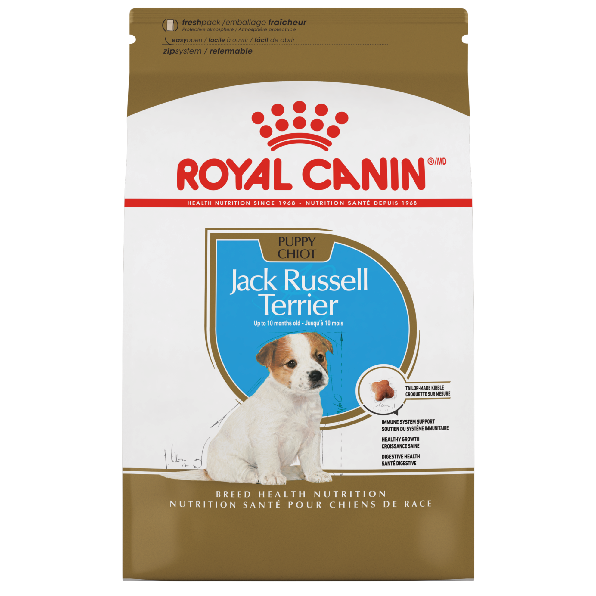 Jack Russell Terrier Puppy Dry Dog Food