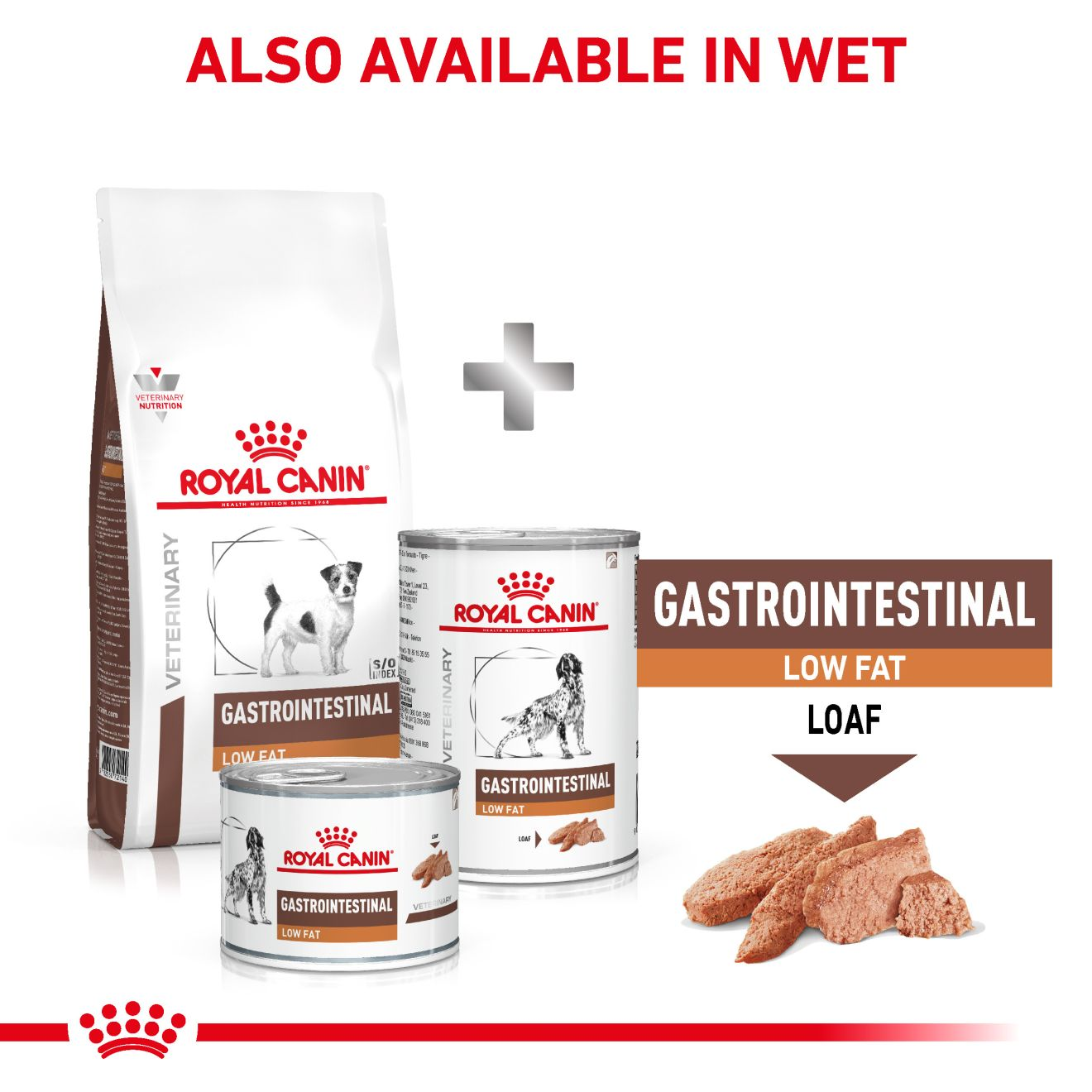 GASTROINTESTINAL LOW FAT SMALL DOG Royal Canin AT