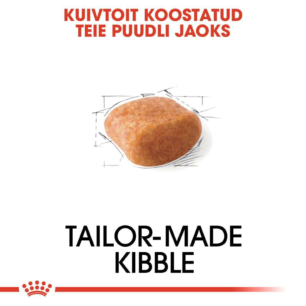 Royal Canin Poodle Adult kuivtoit