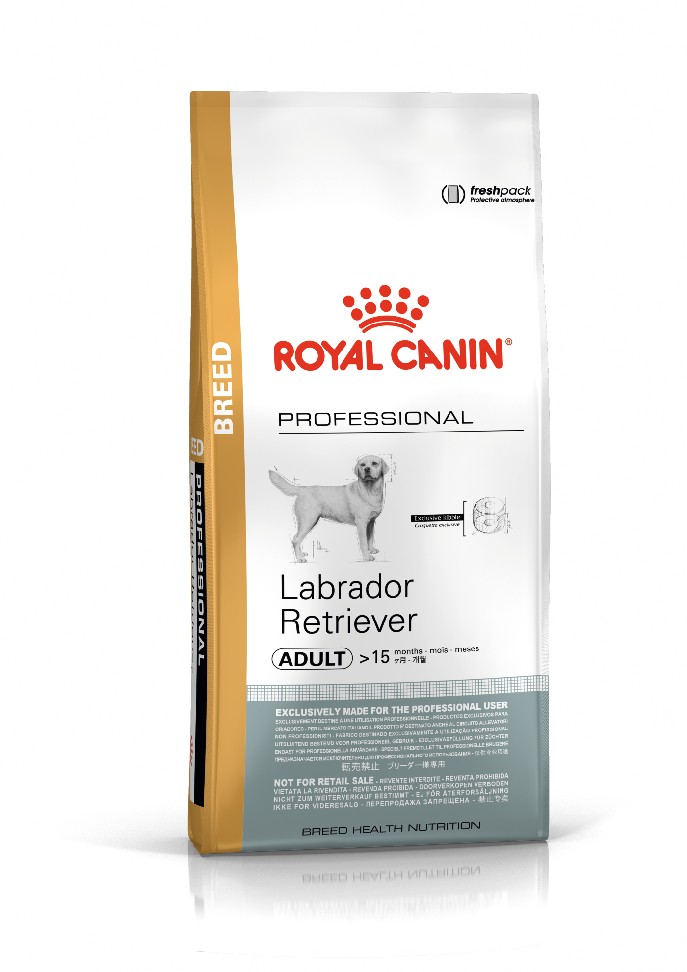 Labrador Adult 13kg