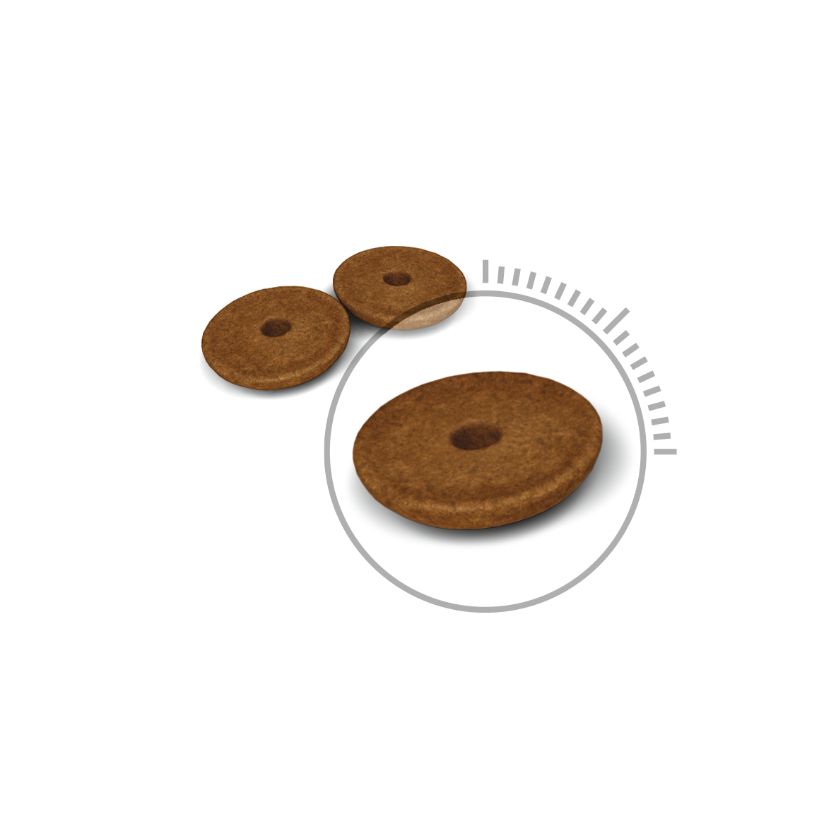 royal canin digestive care dry cat food