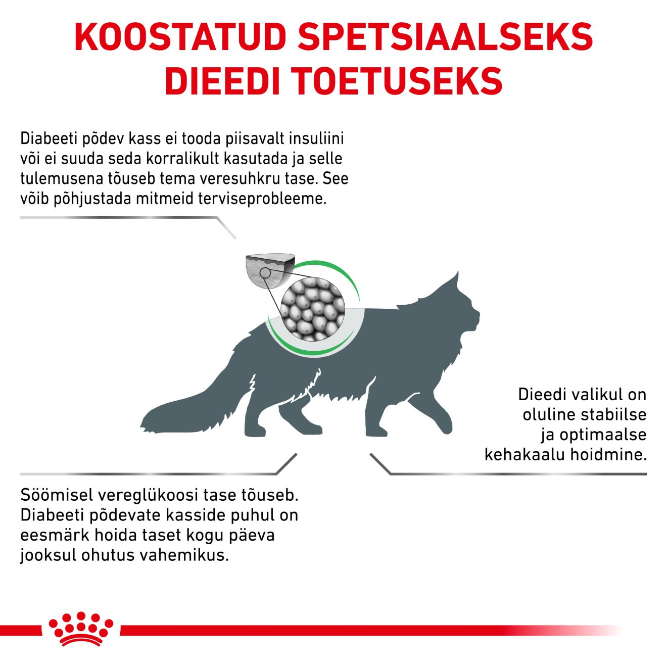 Royal Canin Diabetic Cat kuivtoit