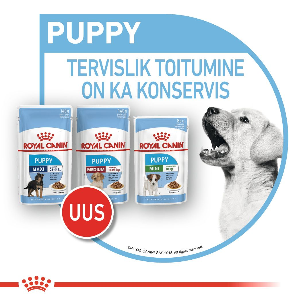 Royal Canin Mini Puppy konserv (tükid kastmes)