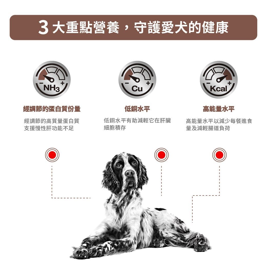 成犬肝臟處方罐頭