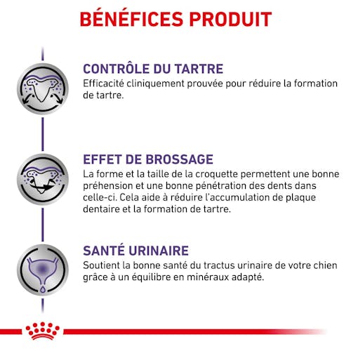 Dental Small Dogs - Aliment vétérinaire pour chien