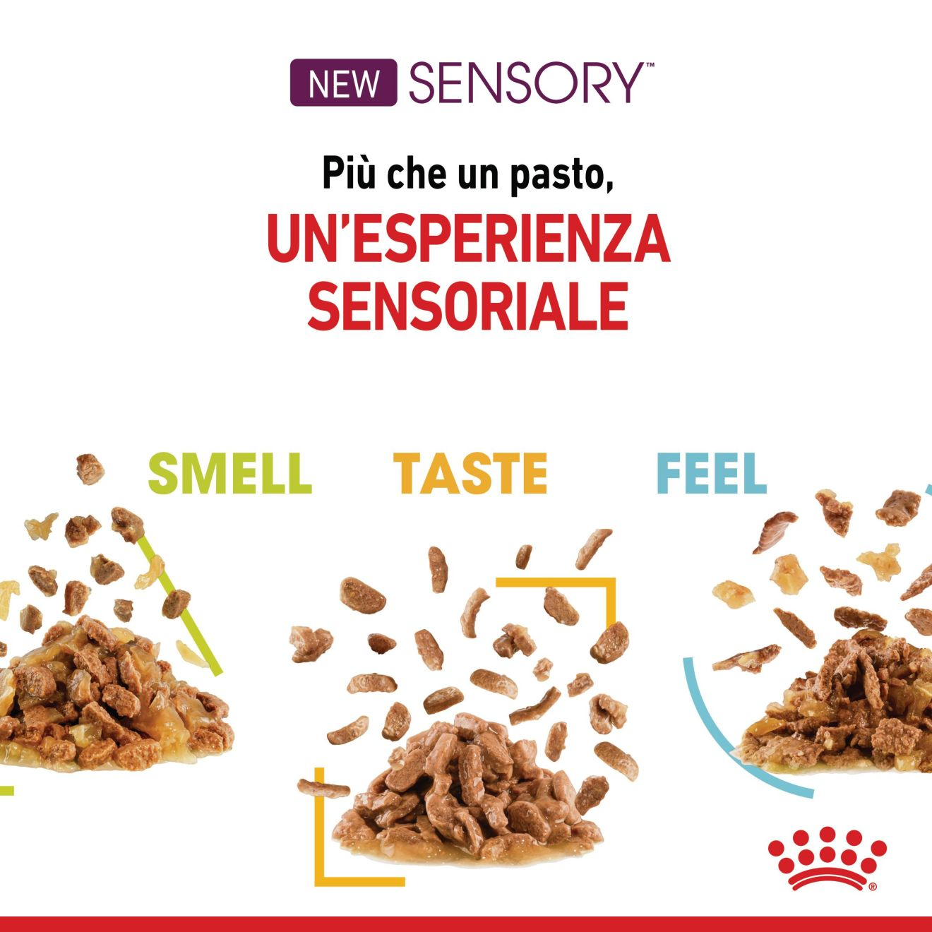 SENSORY™ SMELL bocconcini in gelatina 