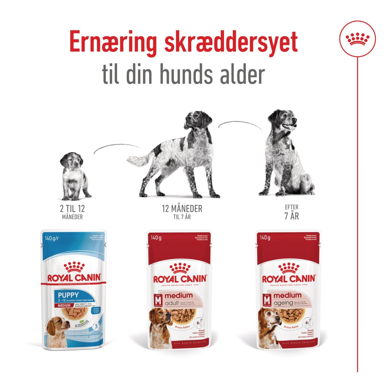 Medium Ageing stykker i sovs