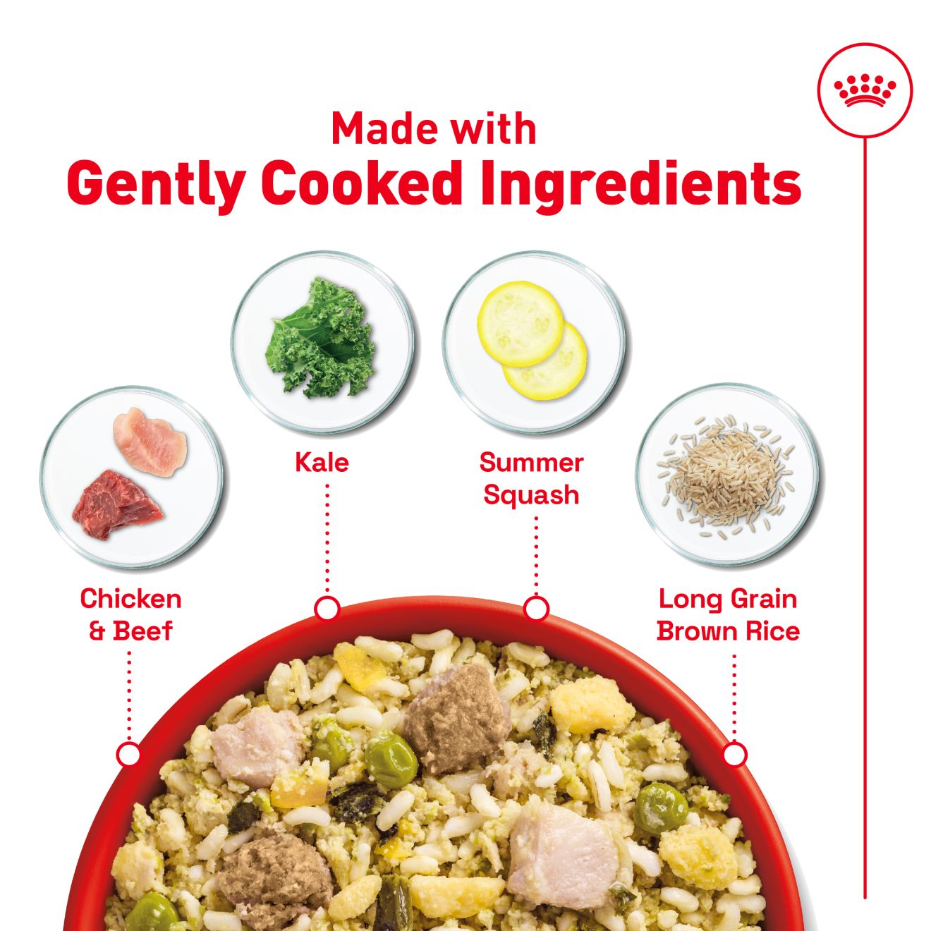 Royal Canin Fresh Health Nutrition Senior Dog Food