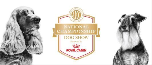 Royal Canin and AKC Renewal