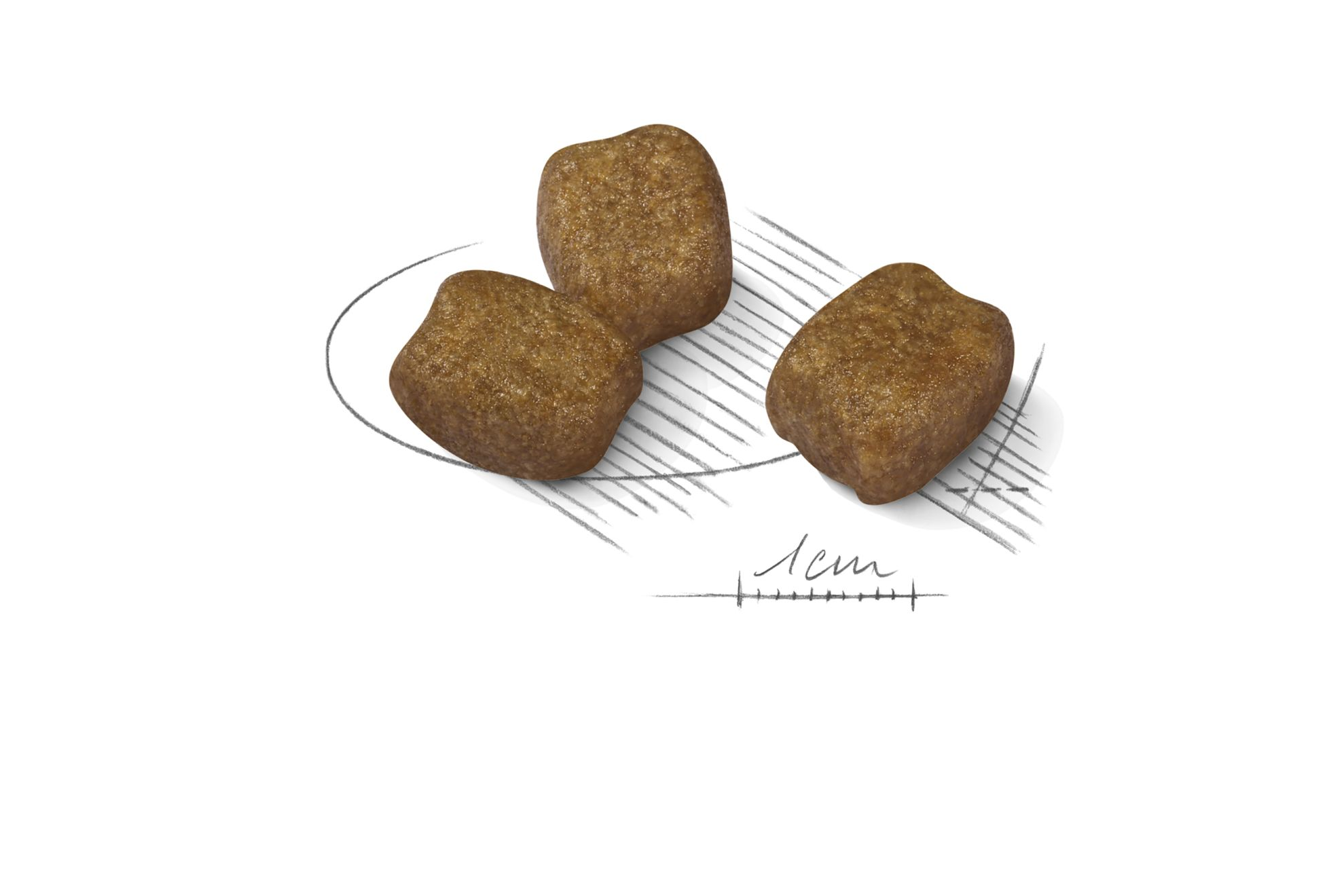 royal canin dental care mini