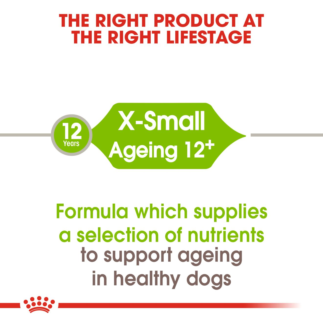 X-Small Ageing 12+