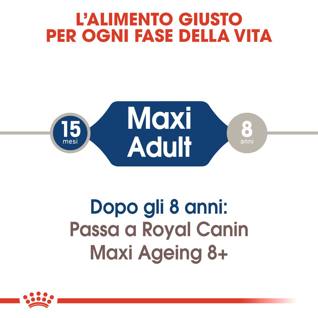 Maxi Adult
