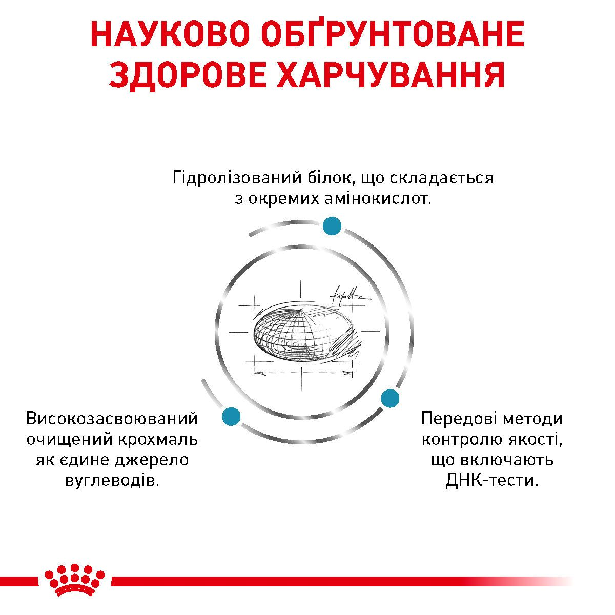 Anallergenic | Royal Canin UA