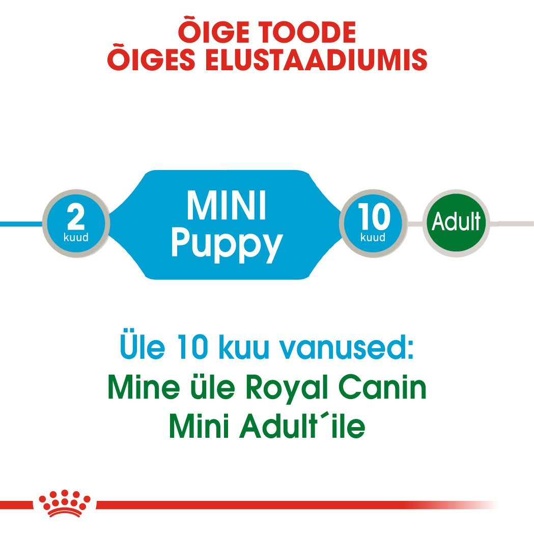 Royal Canin Mini Puppy konserv (tükid kastmes)
