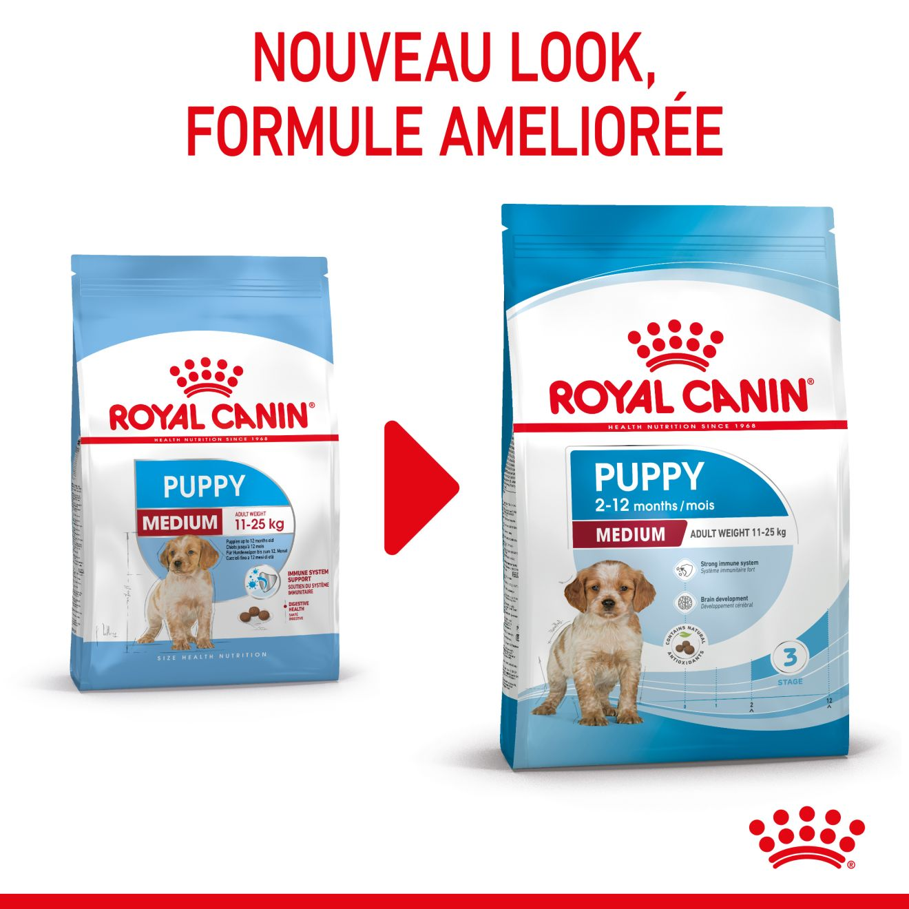 Croquettes Chiots de taille moyenne Boutique Royal Canin