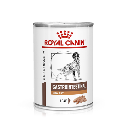 Gastro Intestinal Low Fat Wet Royal Canin