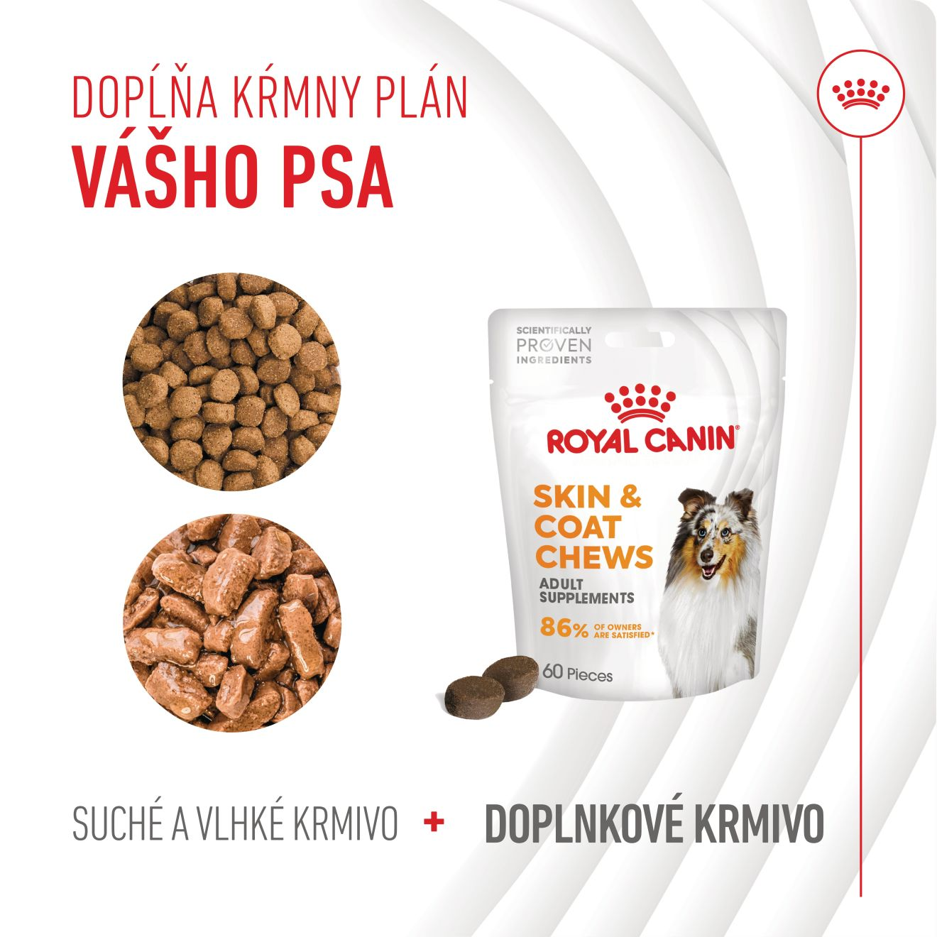 Supplements Dog Skin & Coat Adult 