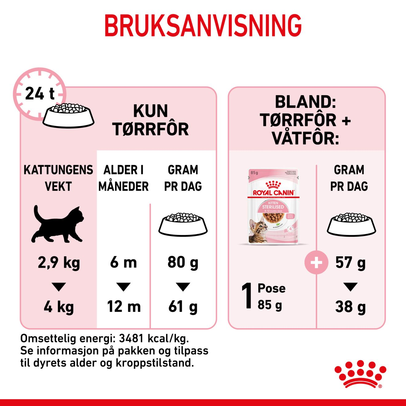 Kitten Sterilised