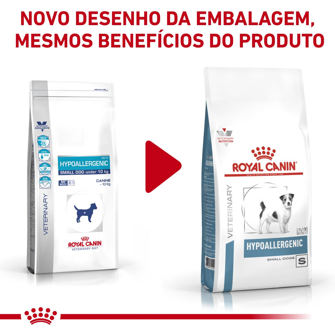 Dog Hypoallergenic Small Dog