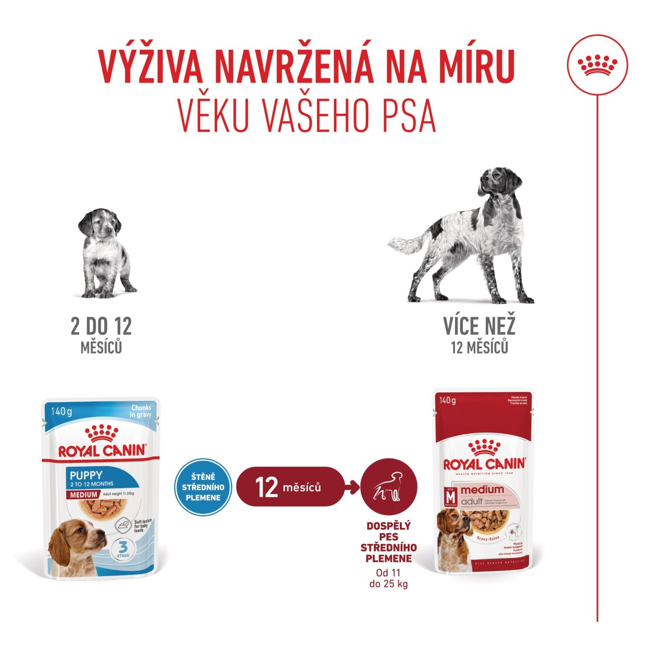 MEDIUM PUPPY kousky ve šťávě