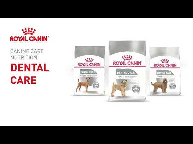 Royal Canin Canine Care Nutrition για σκύλους – Τροφή Dental Care