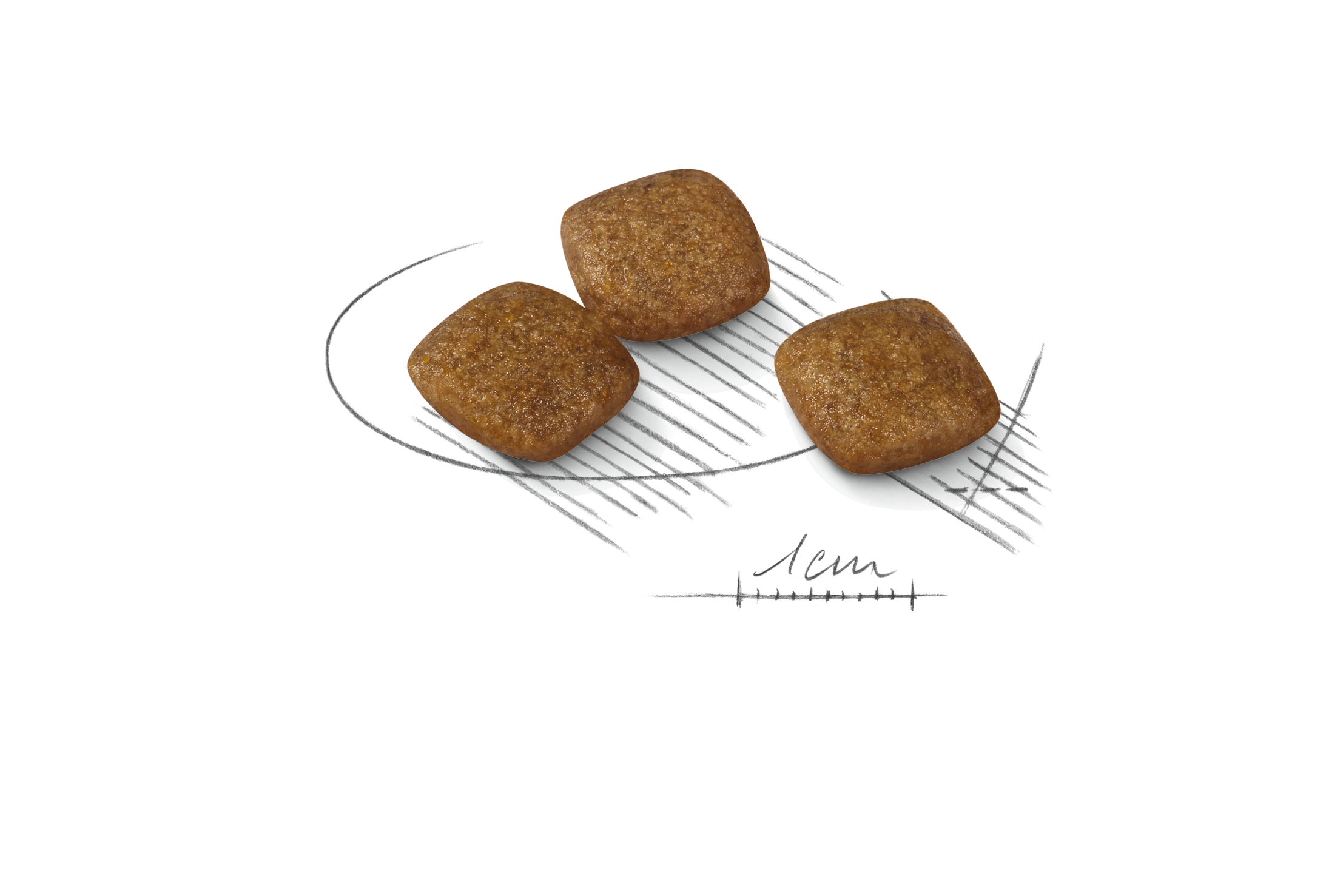 Canine Care Nutrition Sterilised kibble