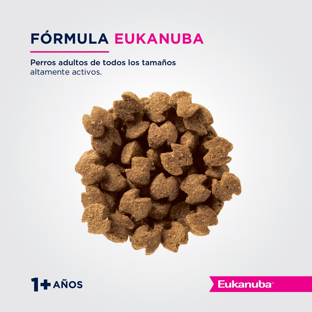 Eukanuba premium performance sale