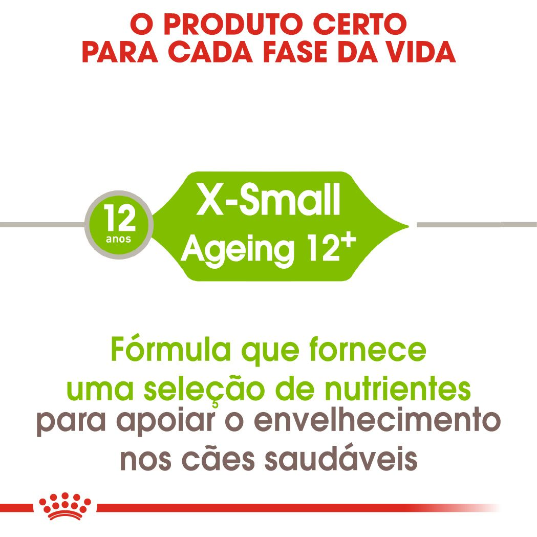 X-Small Ageing 12+ 