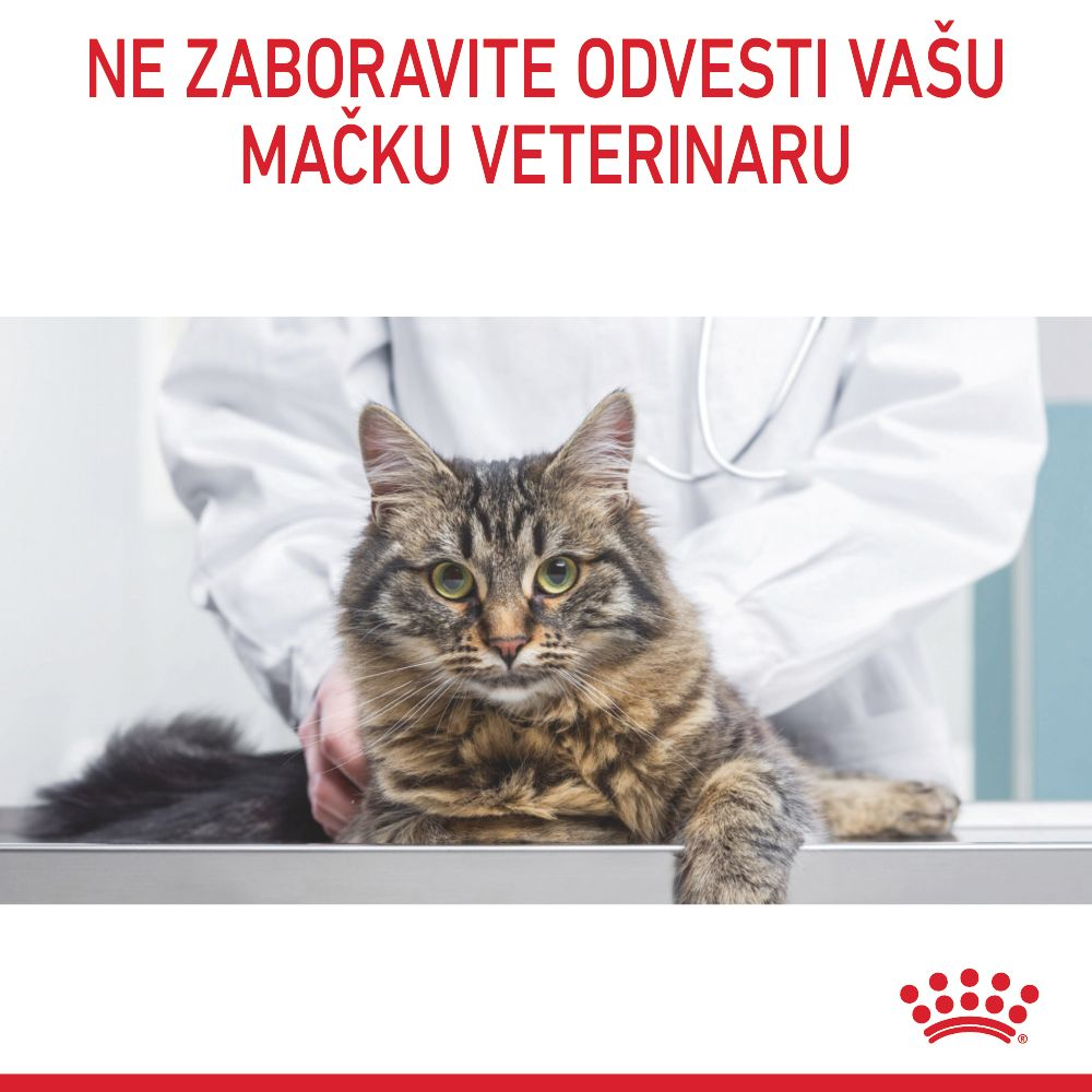 URINARY CARE