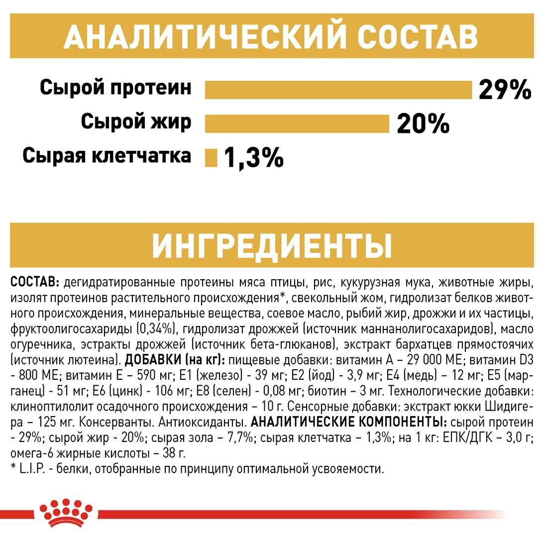 Yorkshire Terrier Puppy