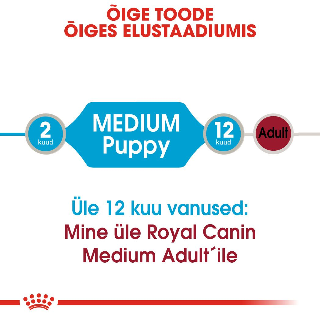 Royal Canin Medium Puppy konserv (tükid kastmes)