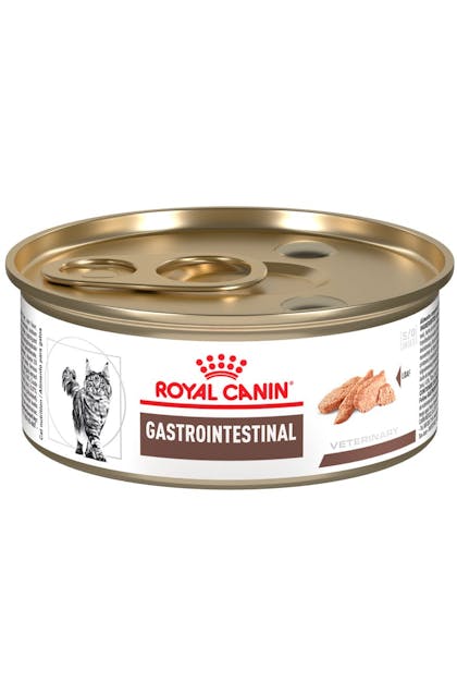 GastroIntestinal_Cat_WET