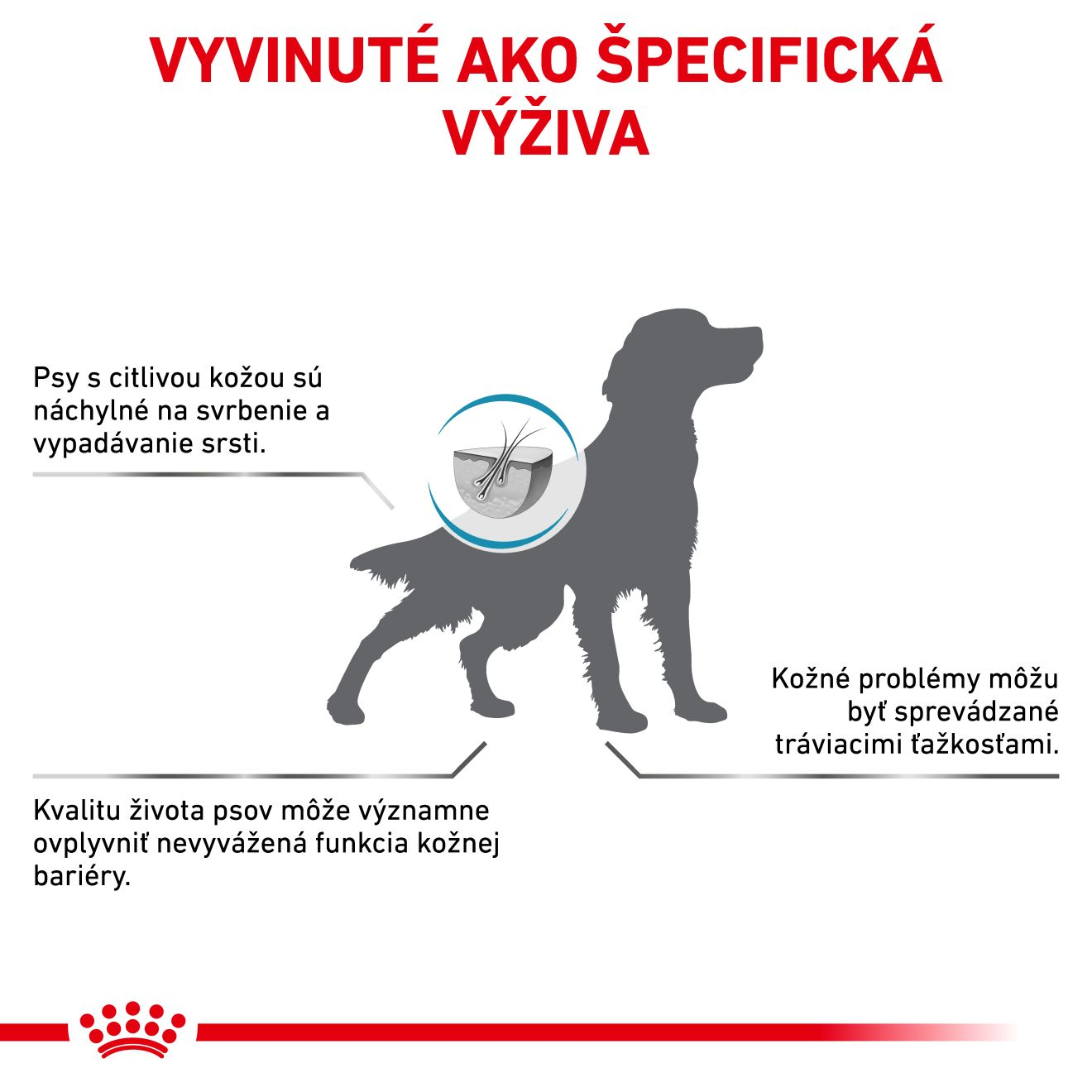 VHN Dog Skin Care