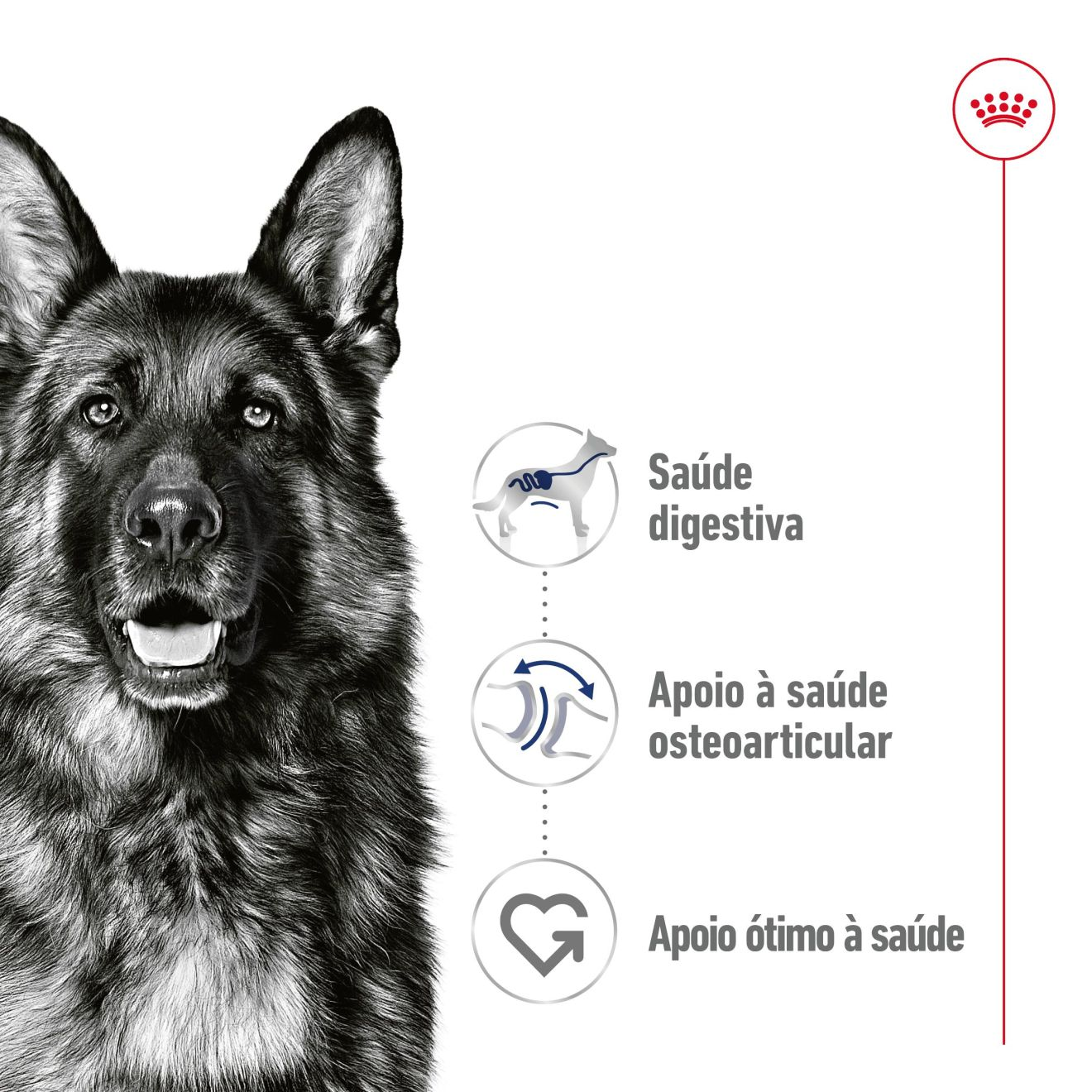 Maxi Adult