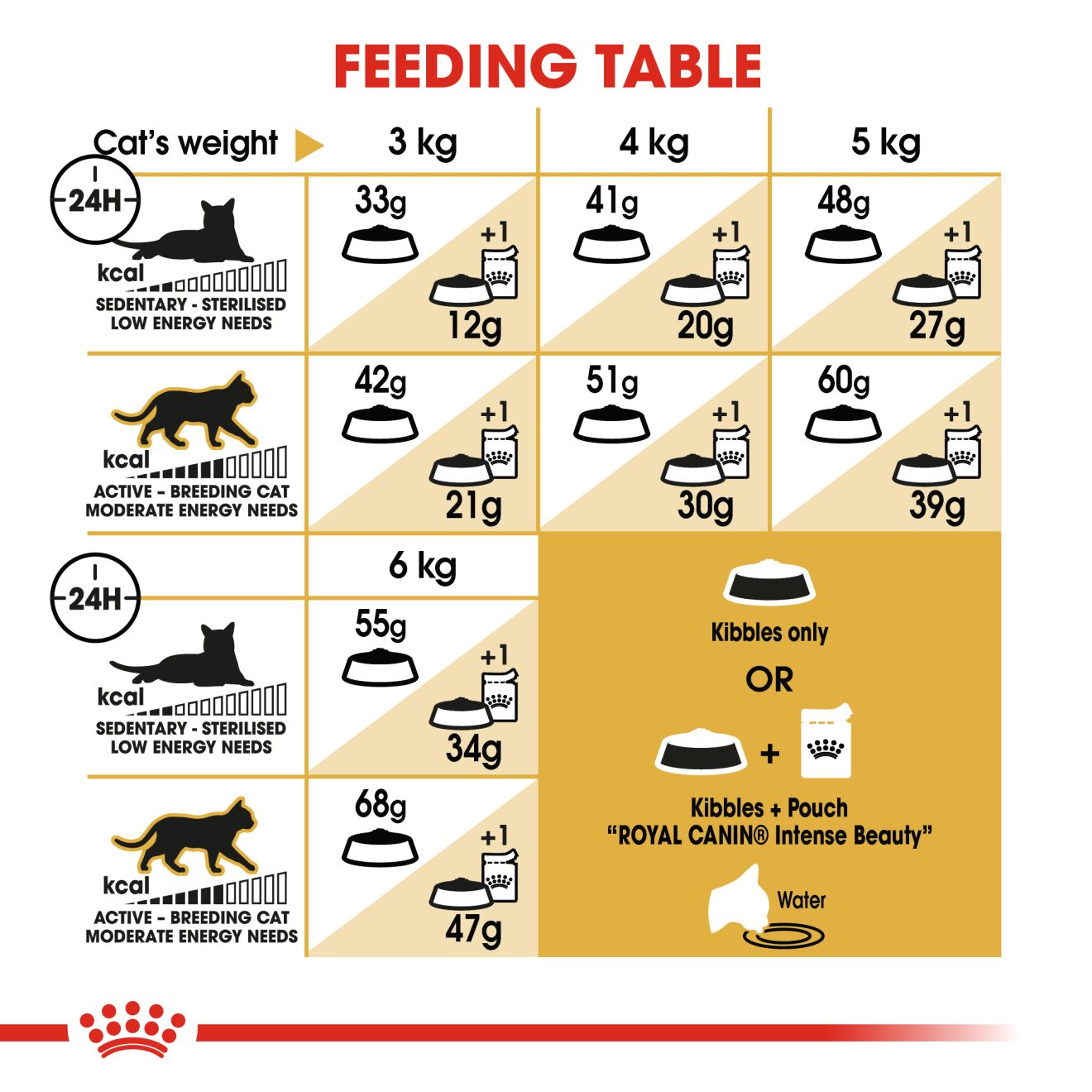 Siamese Adult | Royal Canin Philippines
