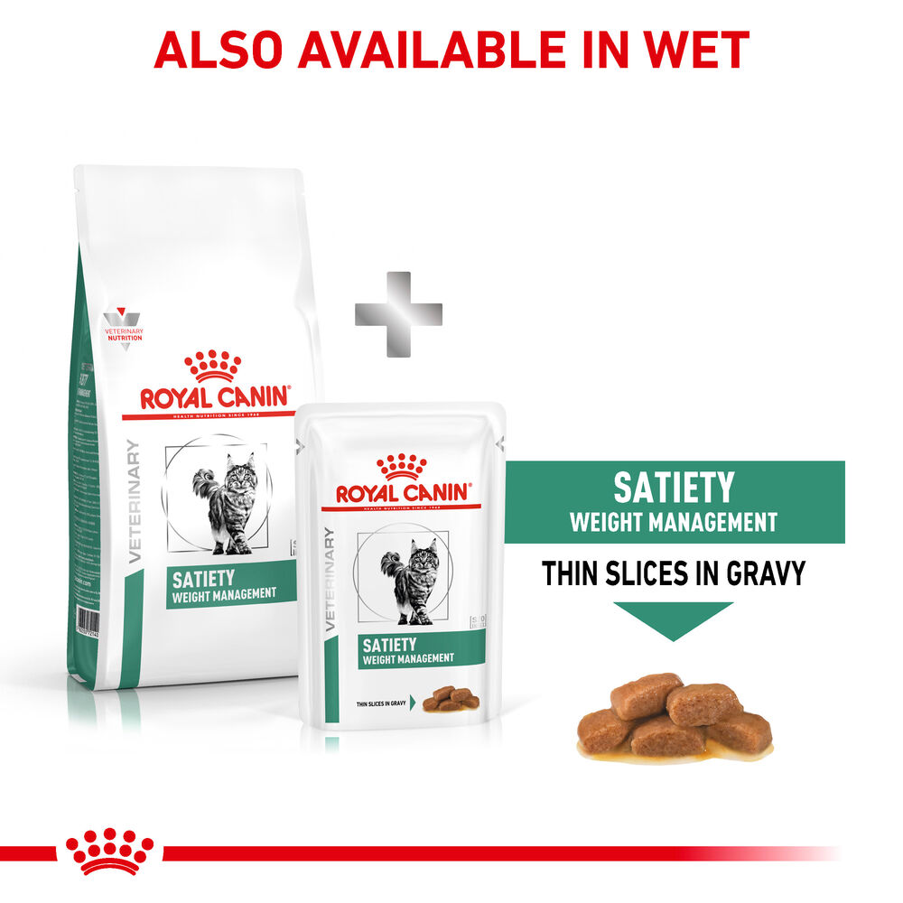 Royal canin store cat weight control