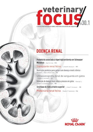 Doença Renal