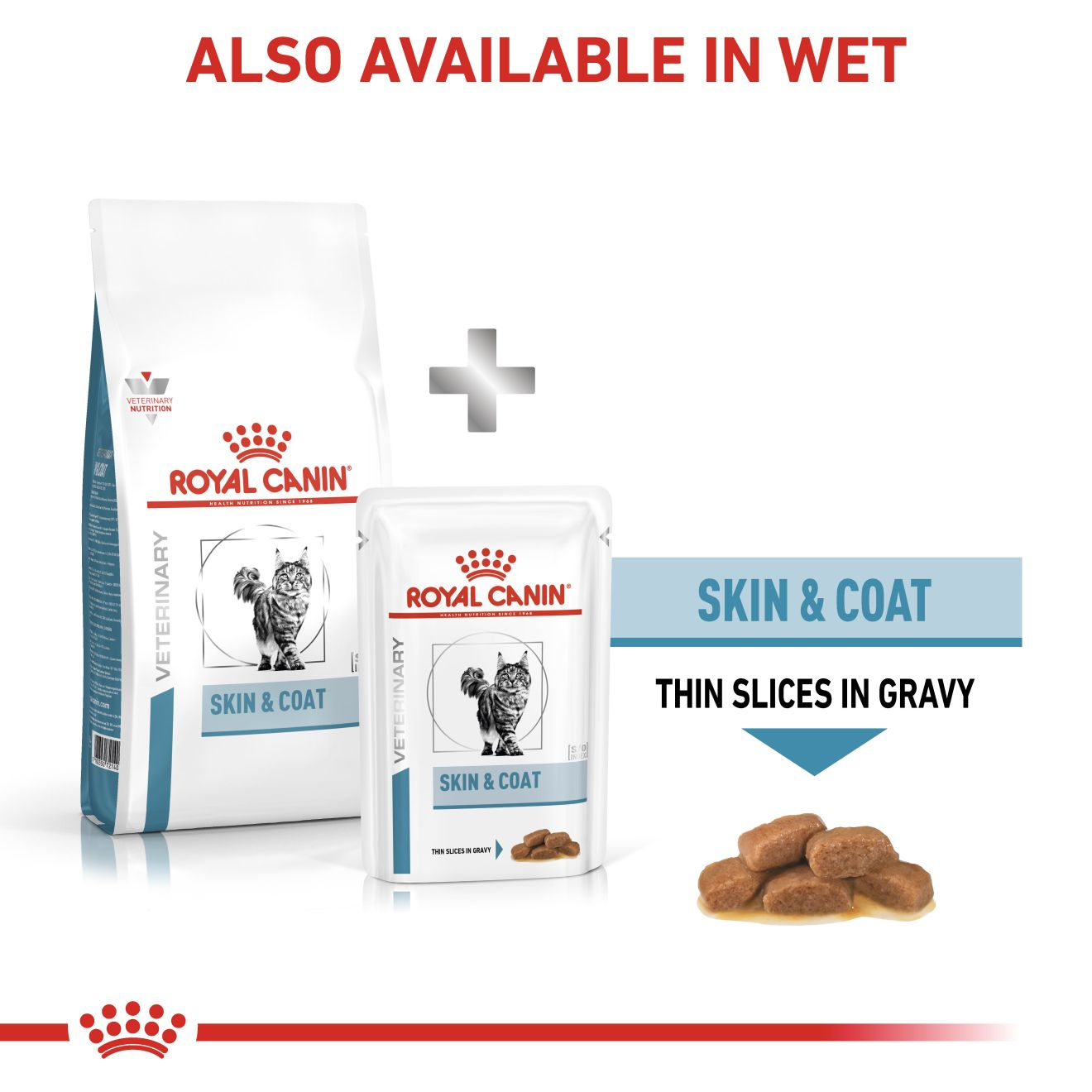 Royal canin skin and coat sale