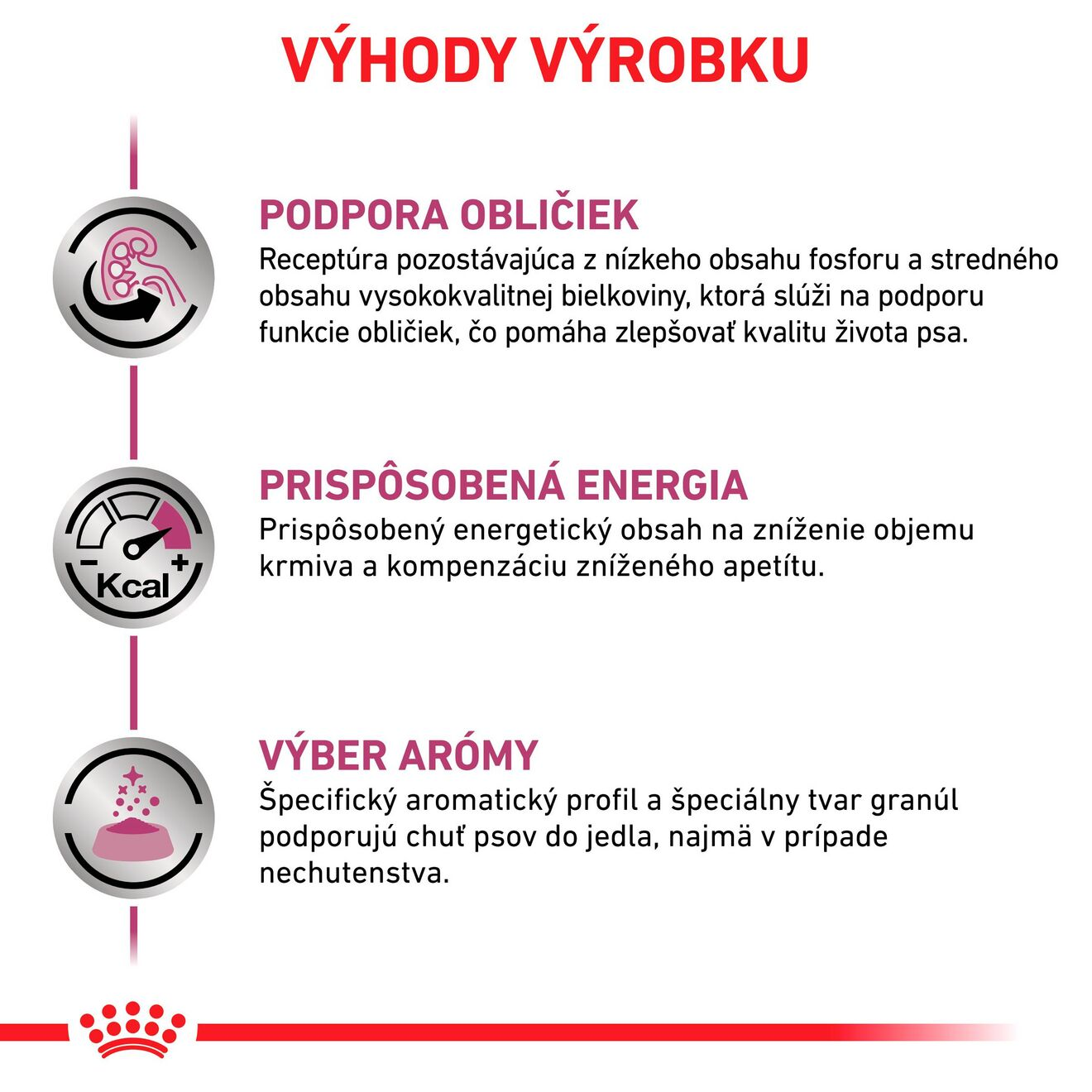 VHN Dog Renal