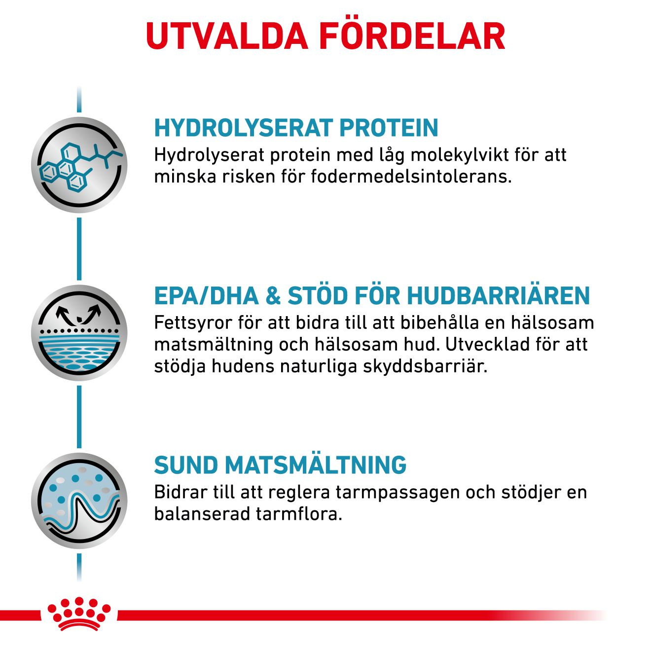 Derma Hypoallergenic