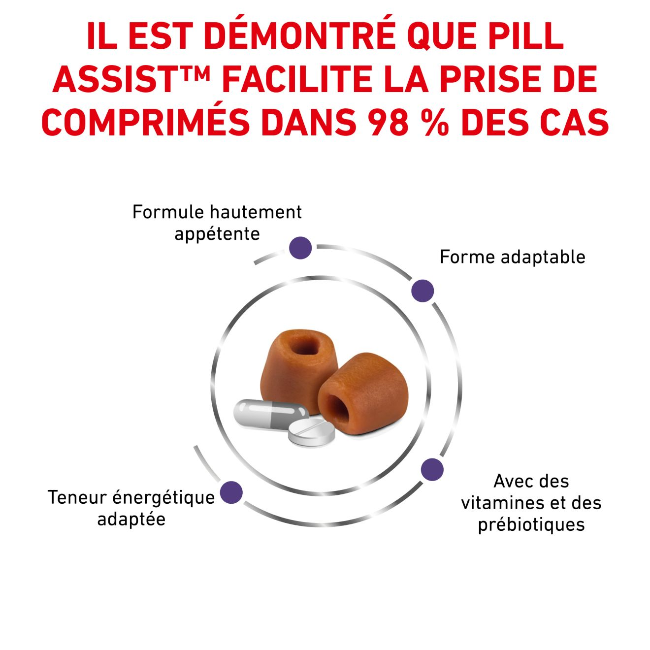 Pill   Assist Small Dog