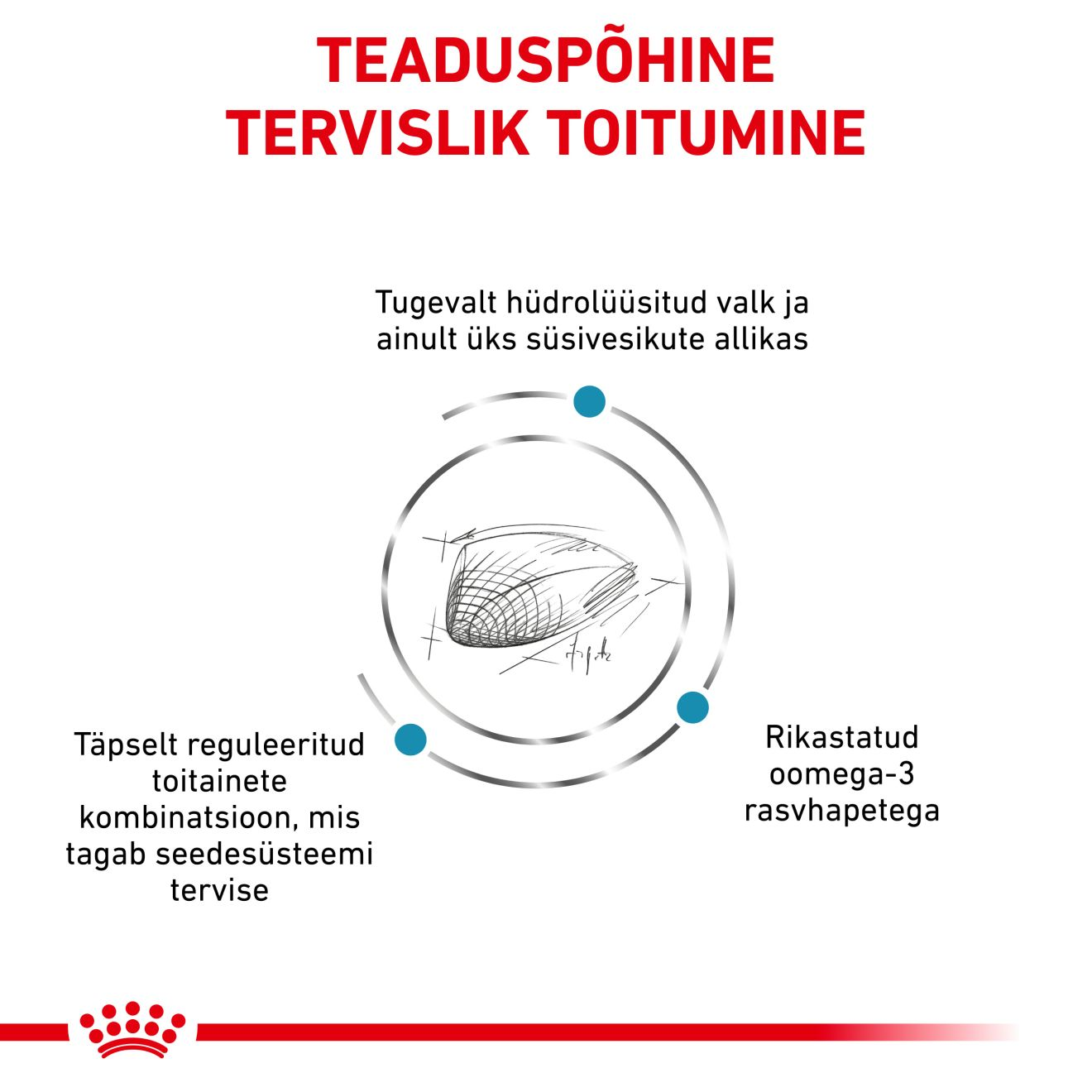 Royal Canin Hypoallergenic Cat kuivtoit
