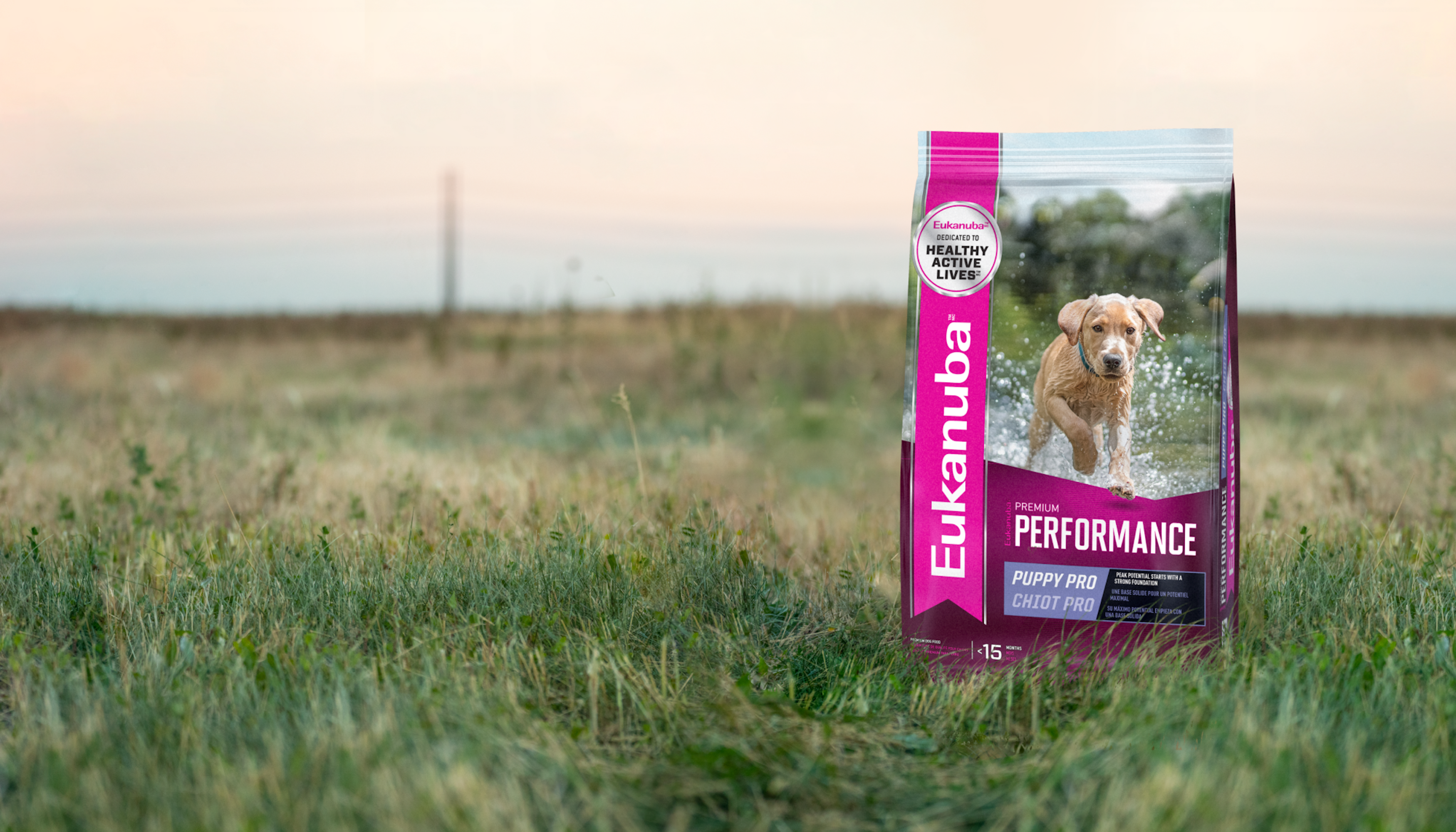 eukanuba premium performance puppy pro