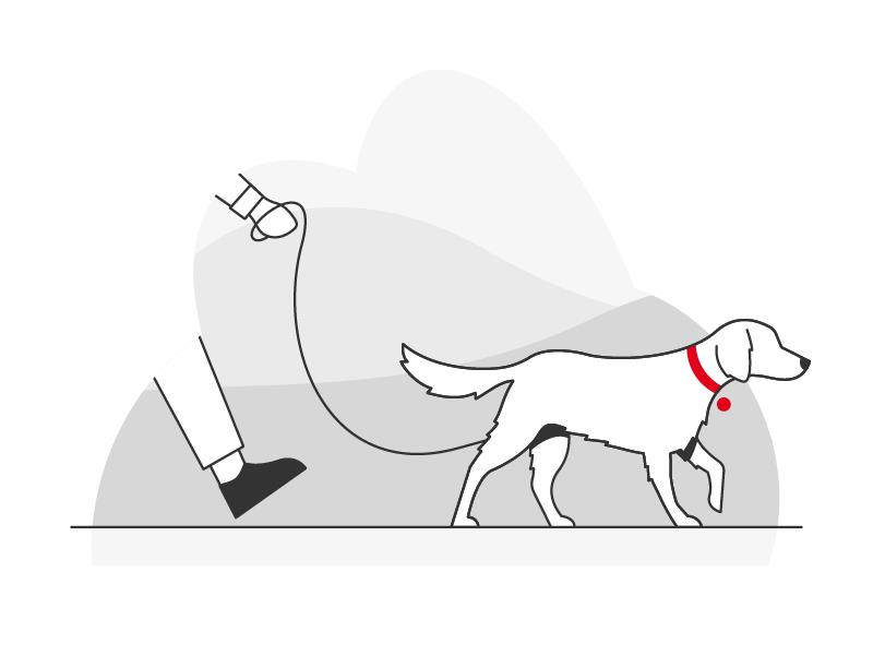 Illustration d'un homme promenant son chien